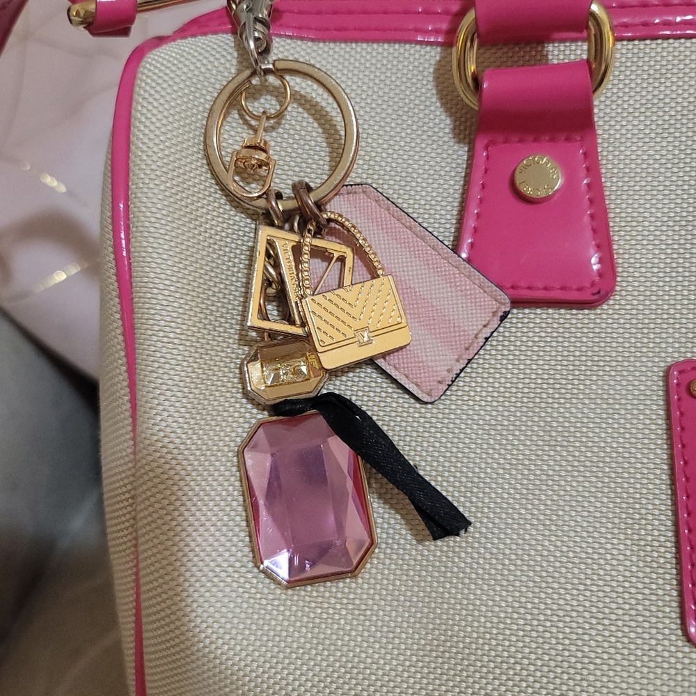 Beautiful Speedy Style Victorias Secret fun pink and smooth canvas style handbag - Picture 4 of 17
